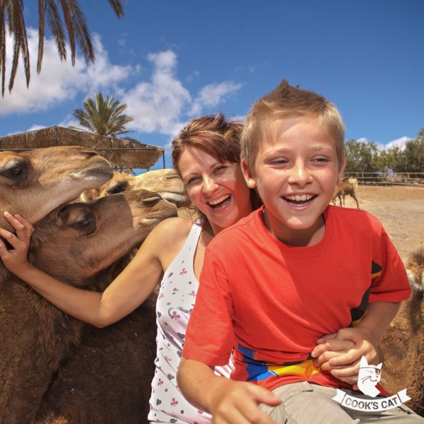Tagesausflug zum immergrünen Oasis Park Fuerteventura